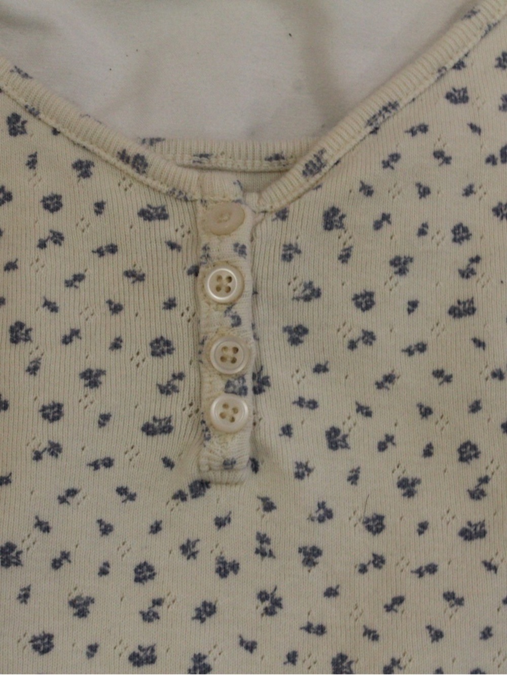 Brandy Melville Cream Ribbed Henley with Blue Floral Print